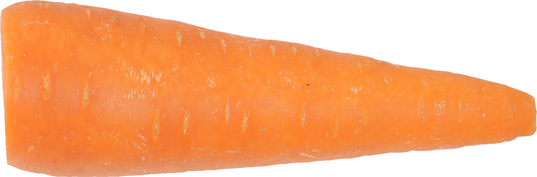 ニンジン｜商用可フリー画像・背景透過