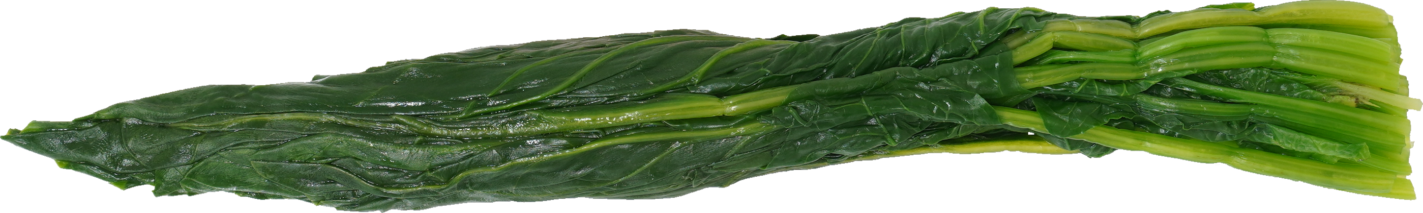 ほうれんそう（ゆで）｜商用可フリー画像・背景透過