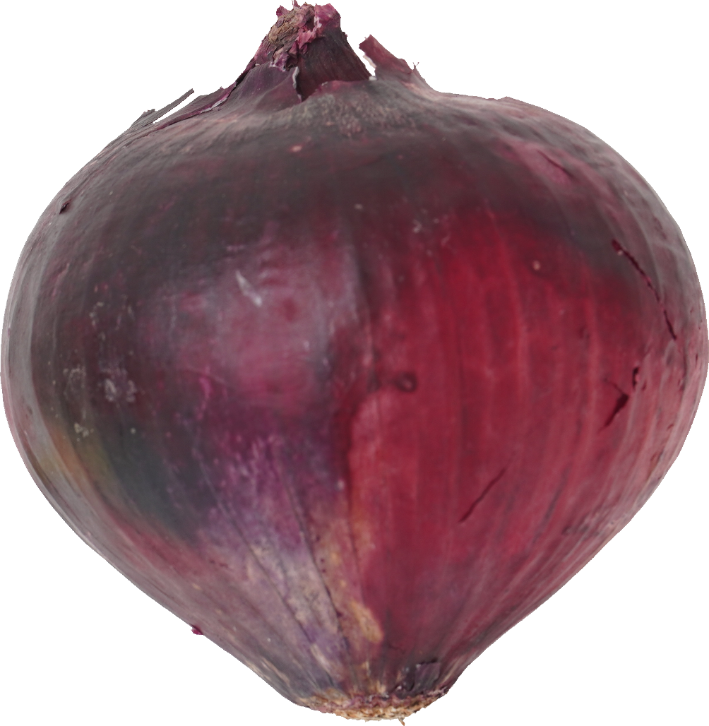 赤たまねぎ【紫たまねぎ・レッドオニオン】｜商用可フリー画像・背景透過
