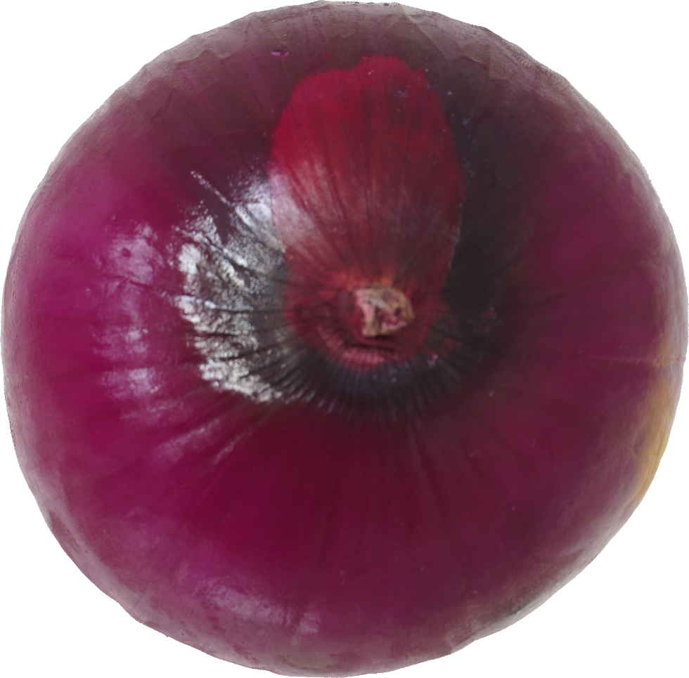 赤たまねぎ【紫たまねぎ・レッドオニオン】｜商用可フリー画像・背景透過