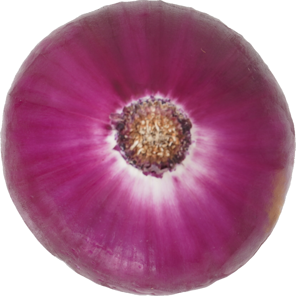 赤たまねぎ【紫たまねぎ・レッドオニオン】｜商用可フリー画像・背景透過