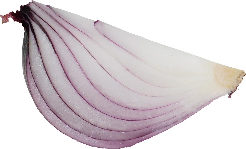 赤たまねぎ【紫たまねぎ・レッドオニオン】｜商用可フリー画像・背景透過