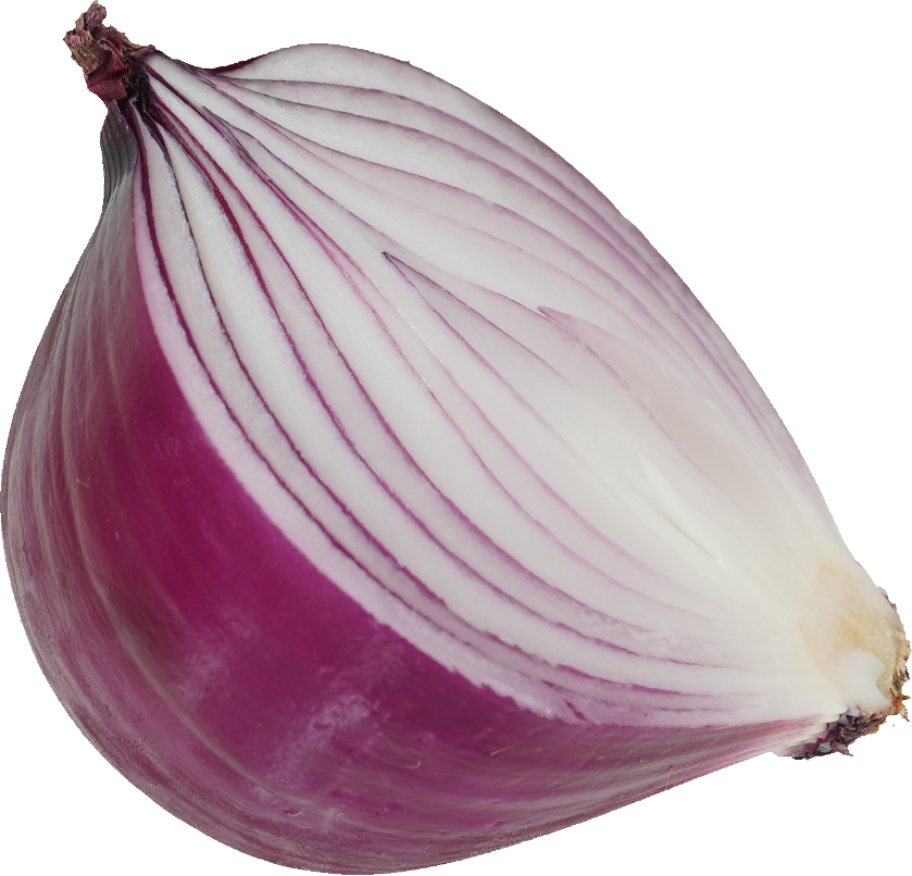 赤たまねぎ【紫たまねぎ・レッドオニオン】｜商用可フリー画像・背景透過