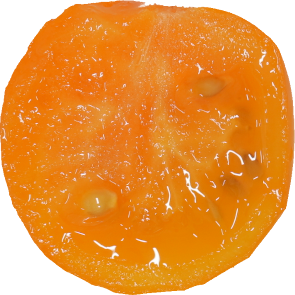 ミニトマト【プチトマト】｜商用可フリー画像・背景透過