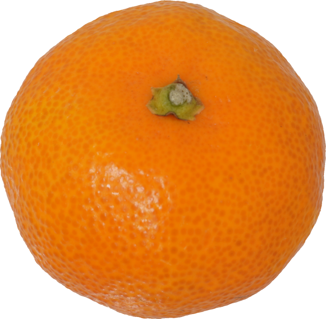 みかん｜商用可フリー画像・背景透過