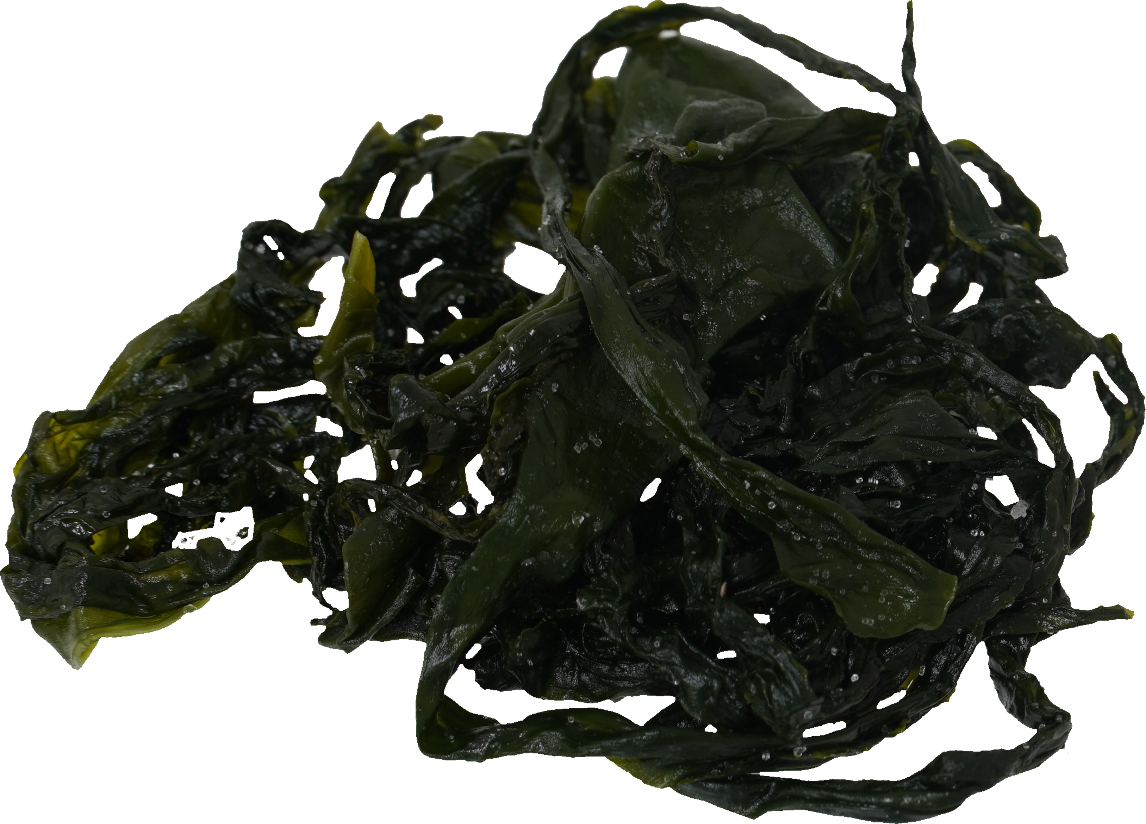 わかめ（塩蔵わかめ）｜商用可フリー画像・背景透過