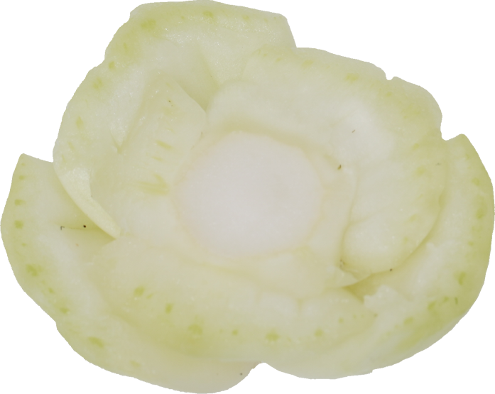 チンゲンサイ｜商用可フリー画像・背景透過