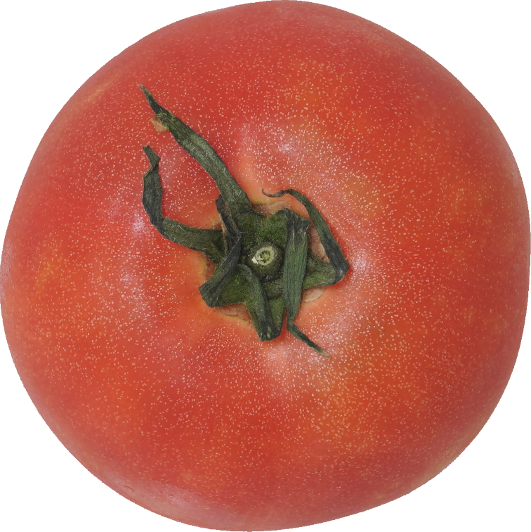 トマト｜商用可フリー画像・背景透過