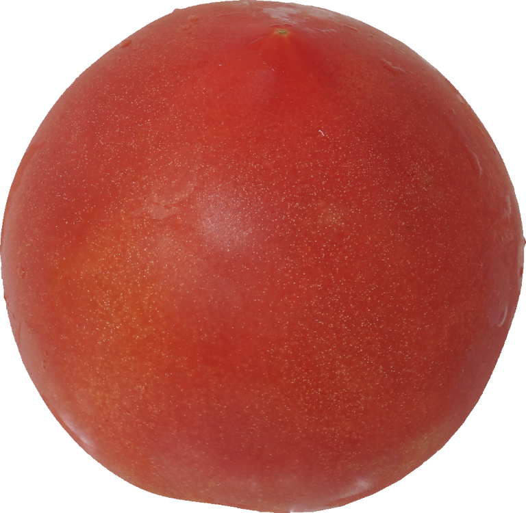トマト｜商用可フリー画像・背景透過