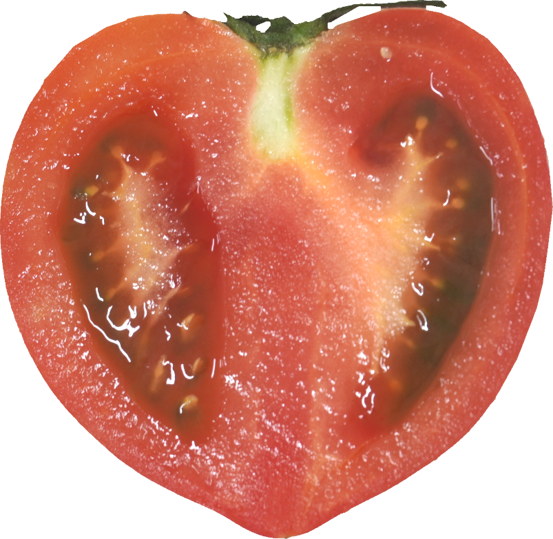トマト｜商用可フリー画像・背景透過