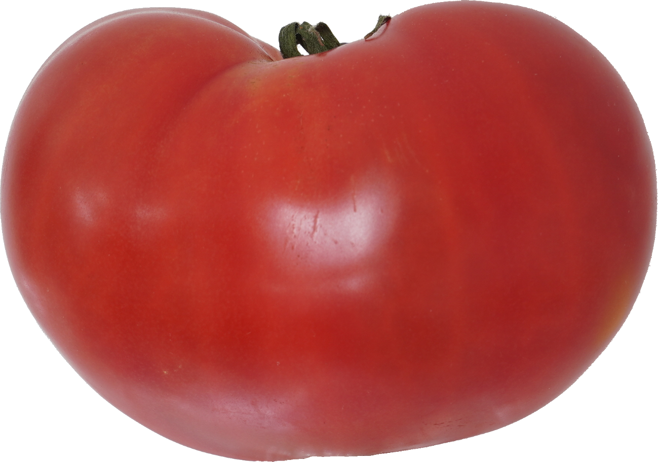 トマト｜商用可フリー画像・背景透過