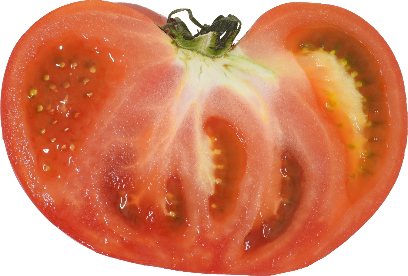 トマト｜商用可フリー画像・背景透過