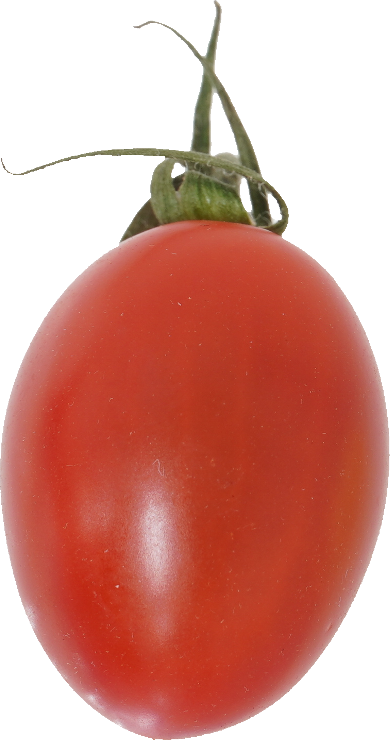 ミニトマト【プチトマト】｜商用可フリー画像・背景透過