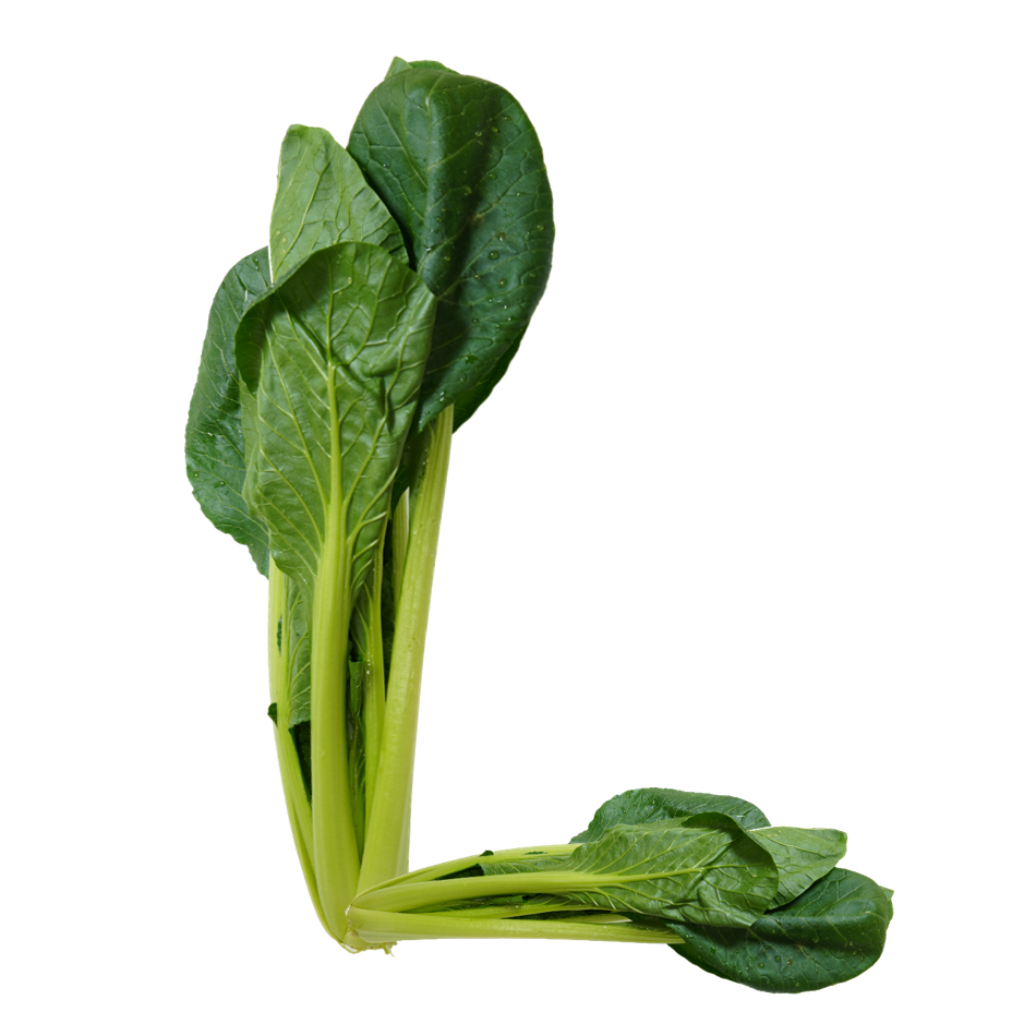 L｜商用可フリー画像・背景透過