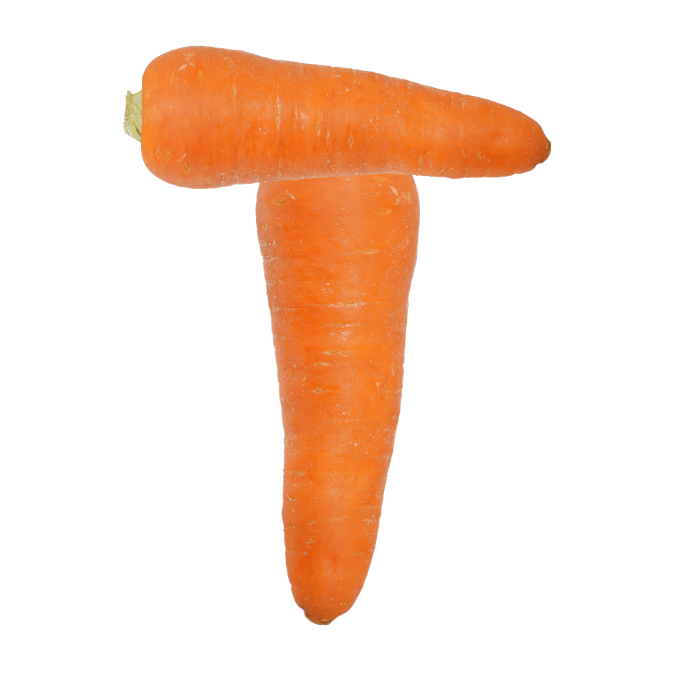 T｜商用可フリー画像・背景透過