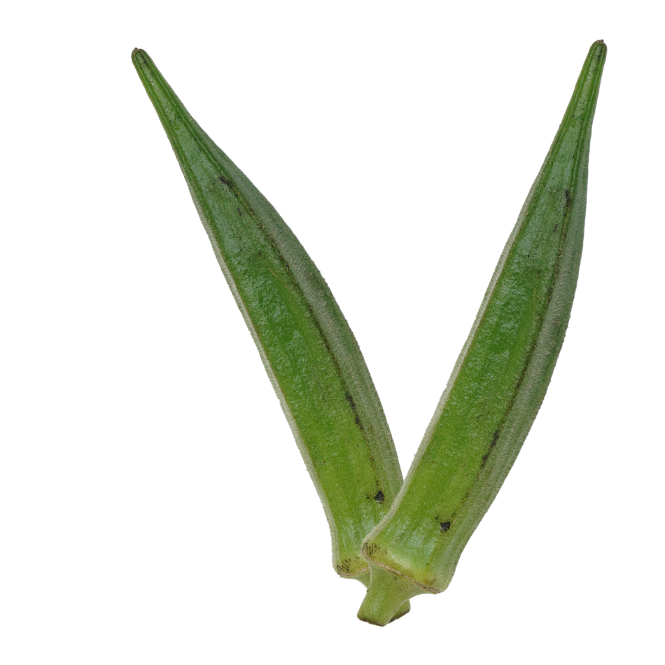 V｜商用可フリー画像・背景透過