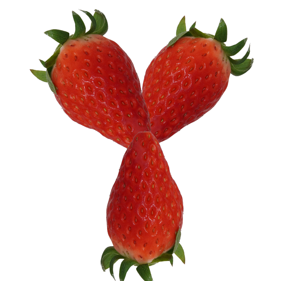 Y｜商用可フリー画像・背景透過