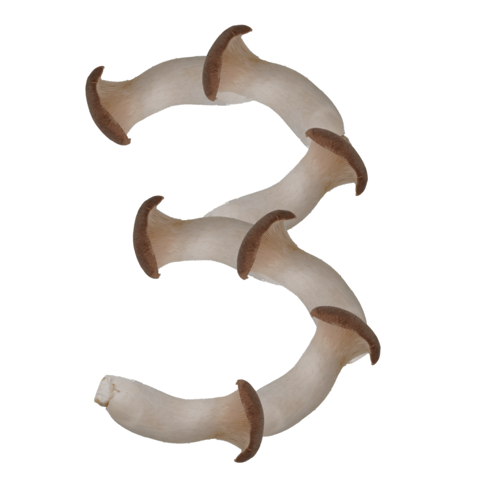 3｜商用可フリー画像・背景透過