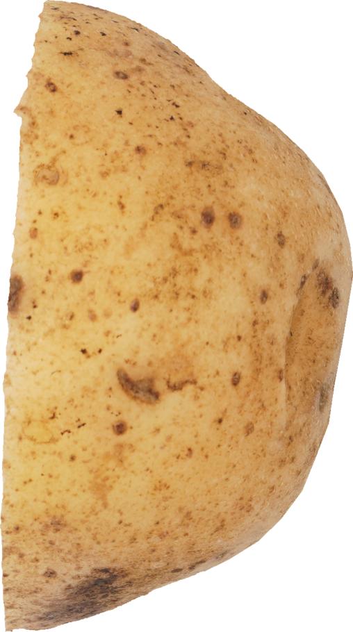 ジャガイモ｜商用可フリー画像・背景透過