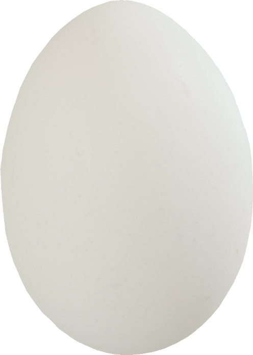 鶏卵｜商用可フリー画像・背景透過