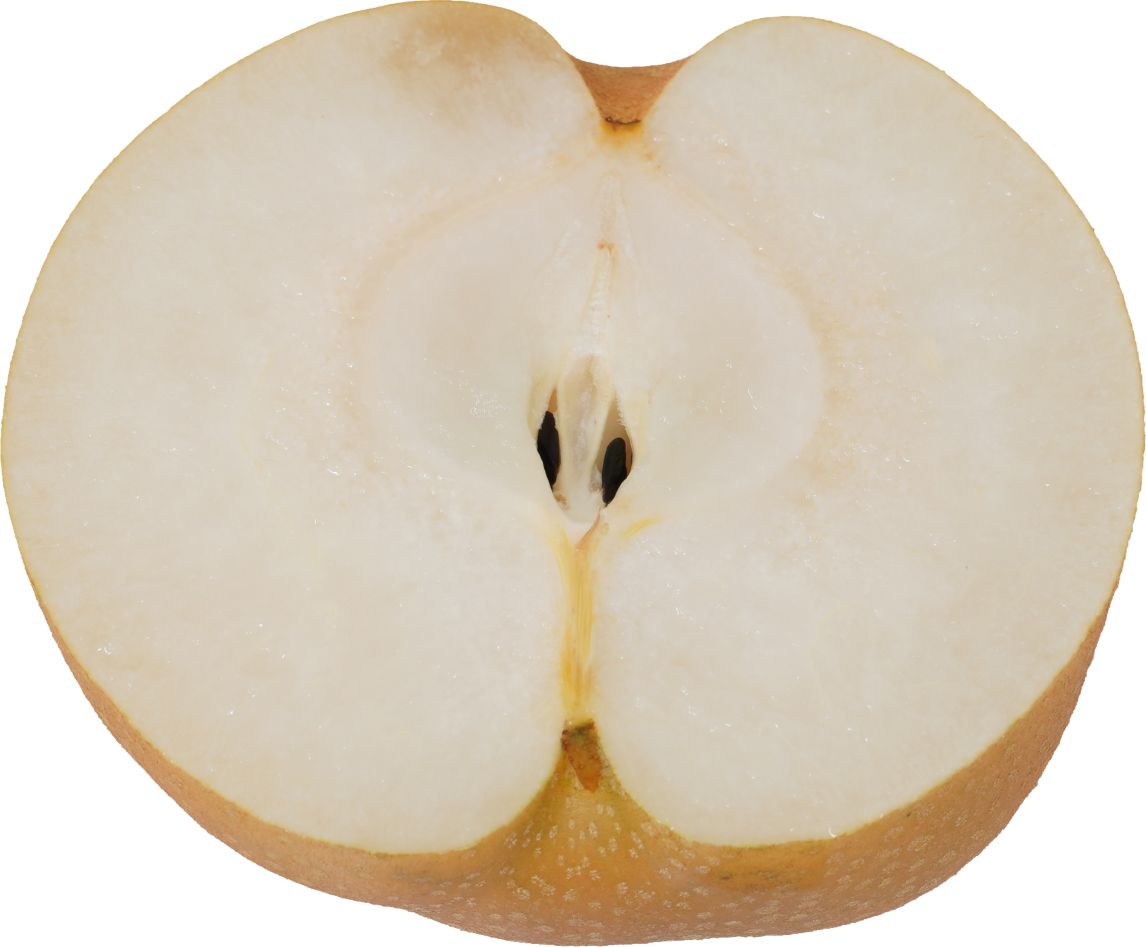 日本なし｜商用可フリー画像・背景透過