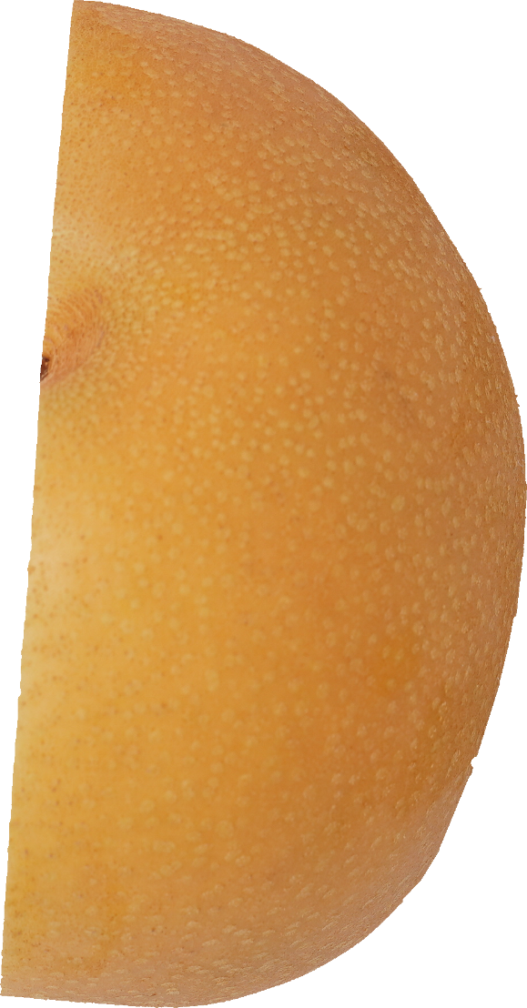 日本なし｜商用可フリー画像・背景透過