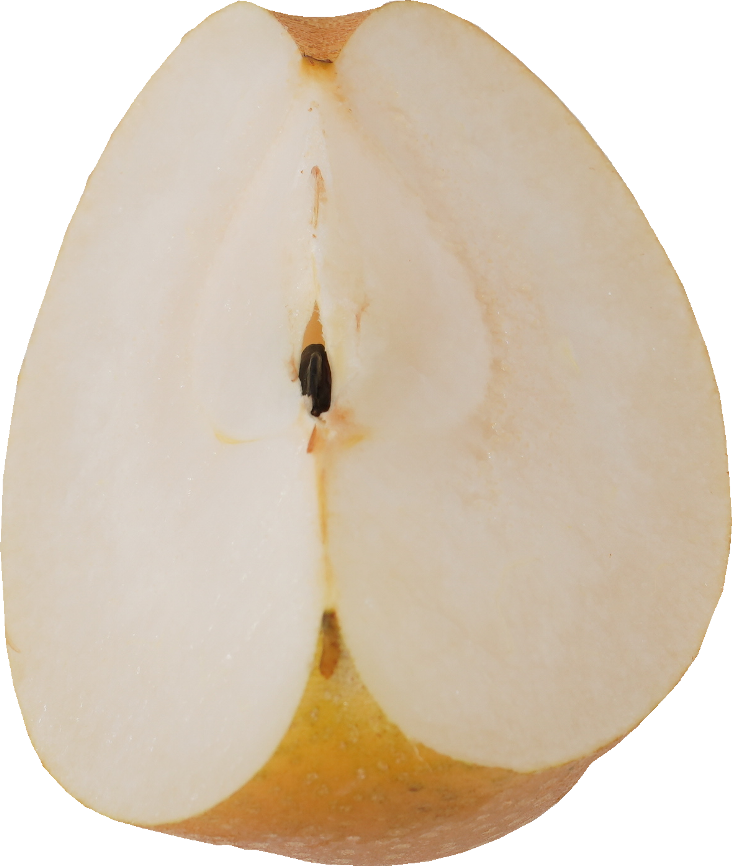 日本なし｜商用可フリー画像・背景透過