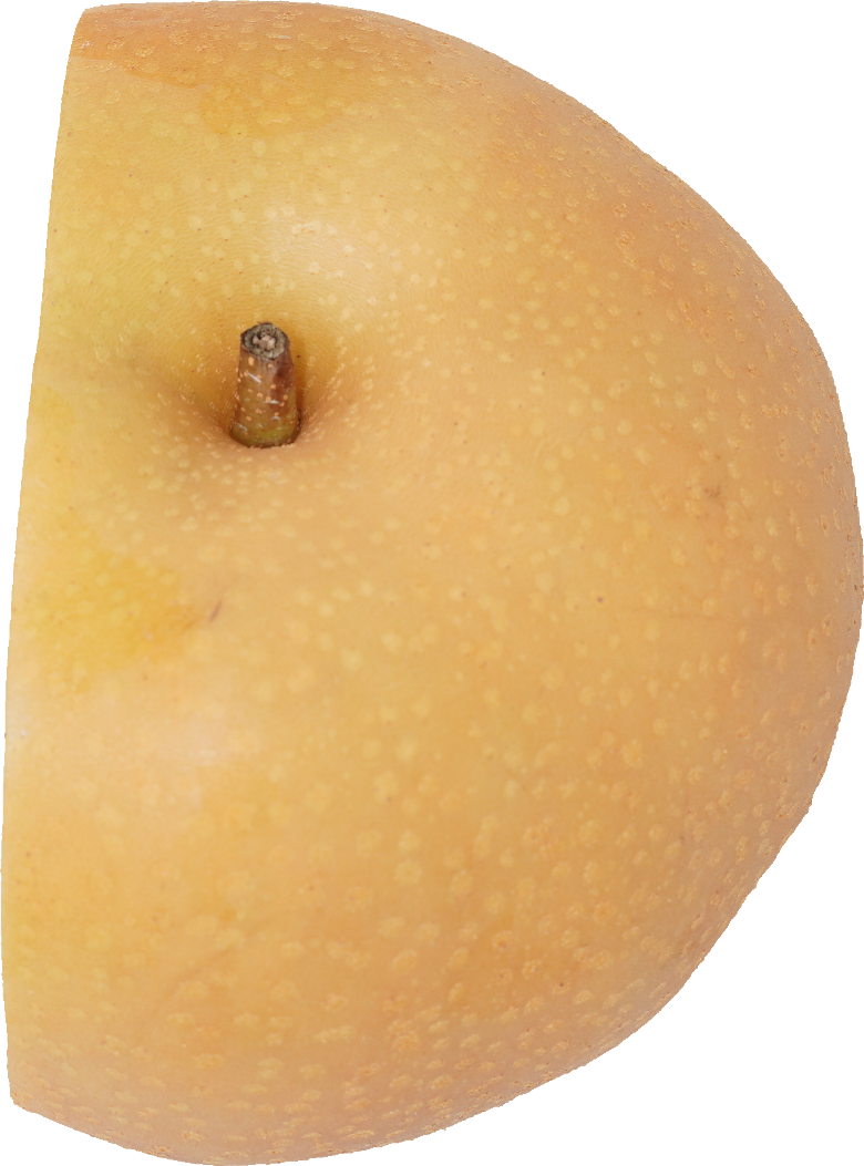 日本なし｜商用可フリー画像・背景透過