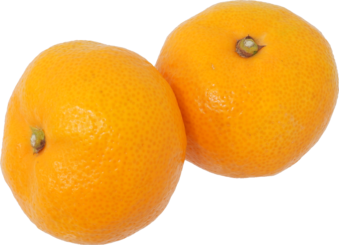 みかん｜商用可フリー画像・背景透過