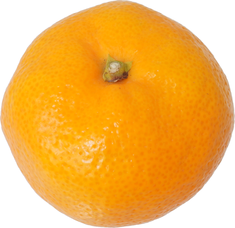 みかん｜商用可フリー画像・背景透過