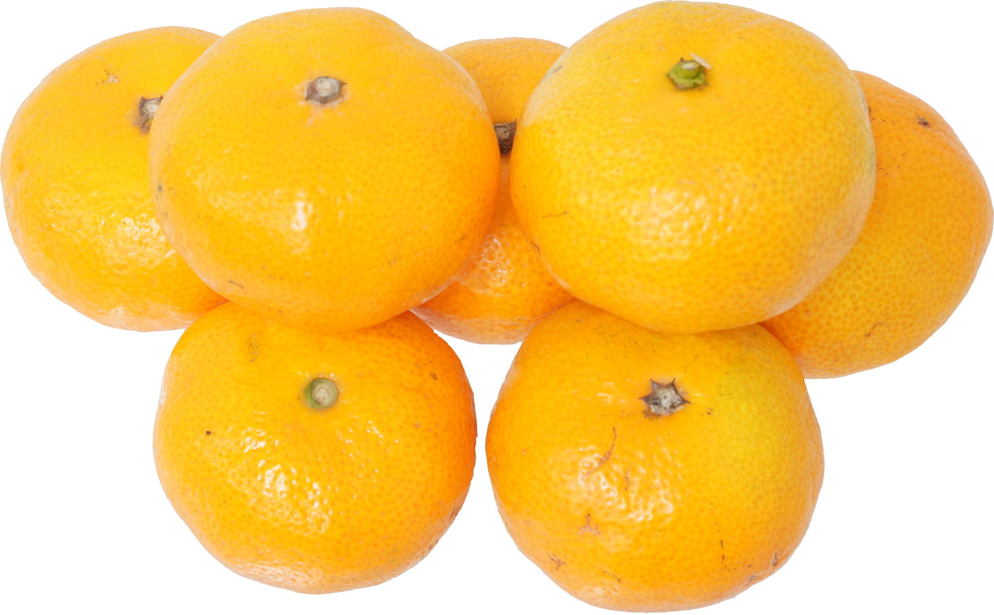 みかん｜商用可フリー画像・背景透過