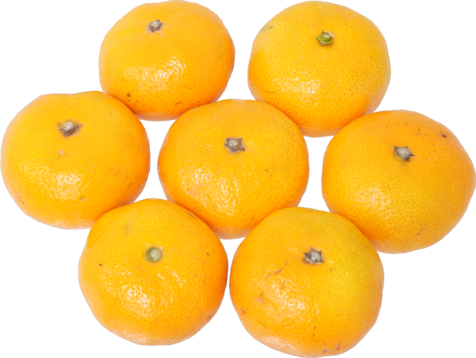 みかん｜商用可フリー画像・背景透過