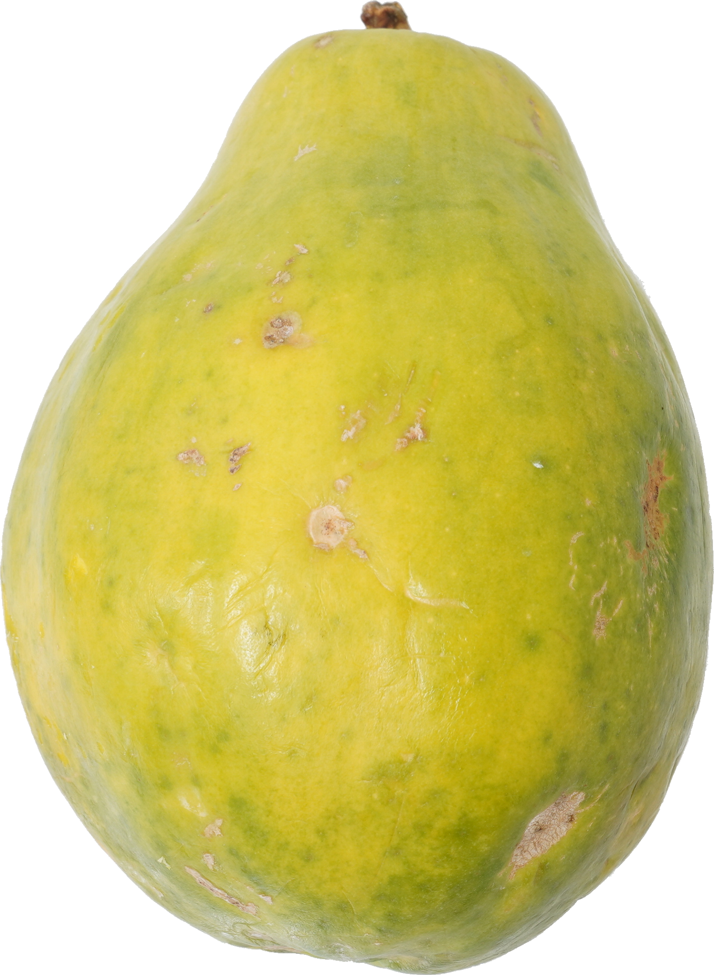 パパイア【パパイヤ】｜商用可フリー画像・背景透過