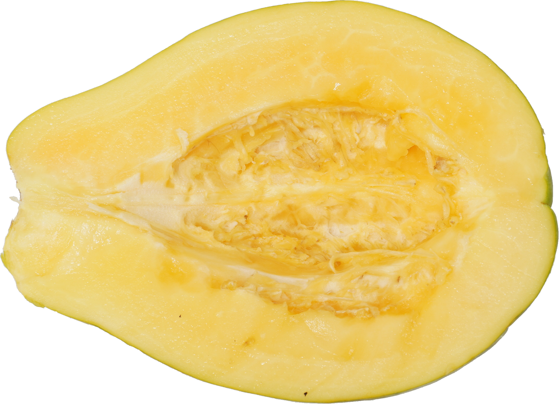 パパイア【パパイヤ】｜商用可フリー画像・背景透過