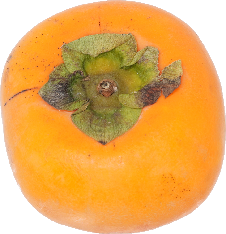 かき｜商用可フリー画像・背景透過