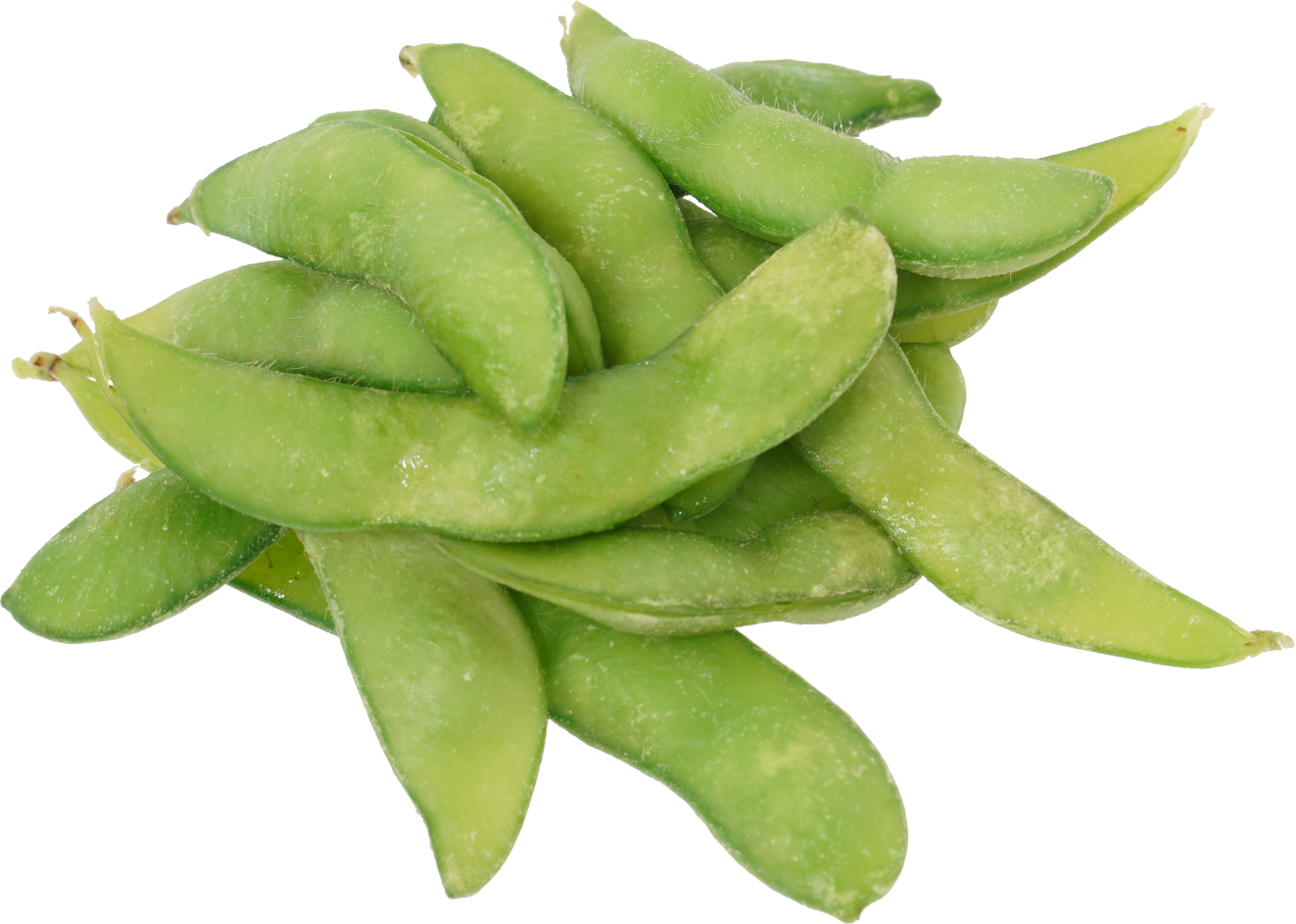 えだまめ（ゆで）｜商用可フリー画像・背景透過