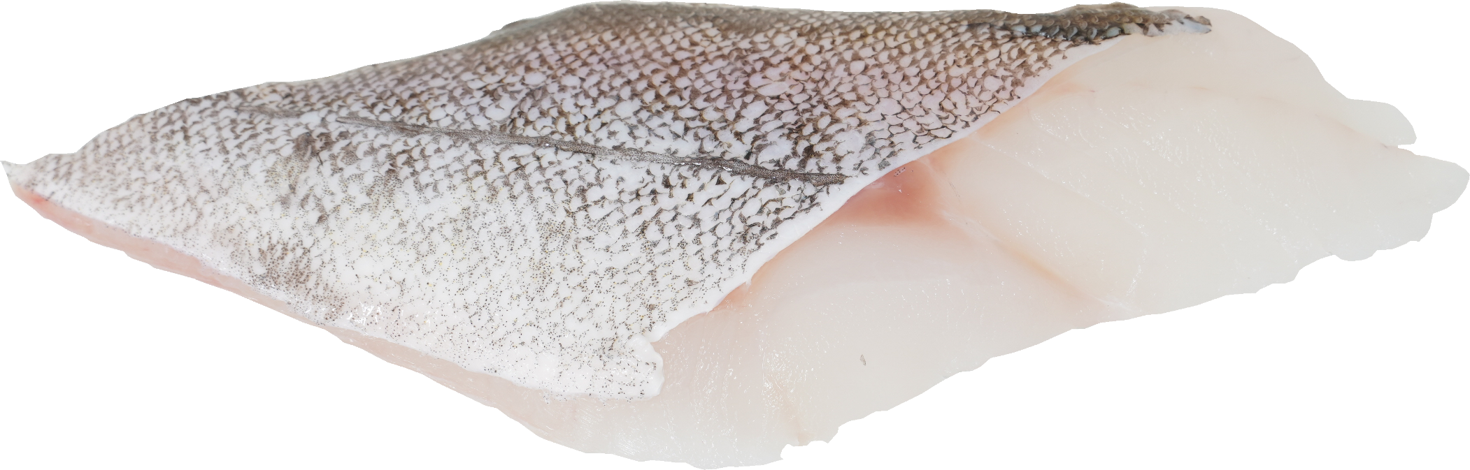 たら｜商用可フリー画像・背景透過