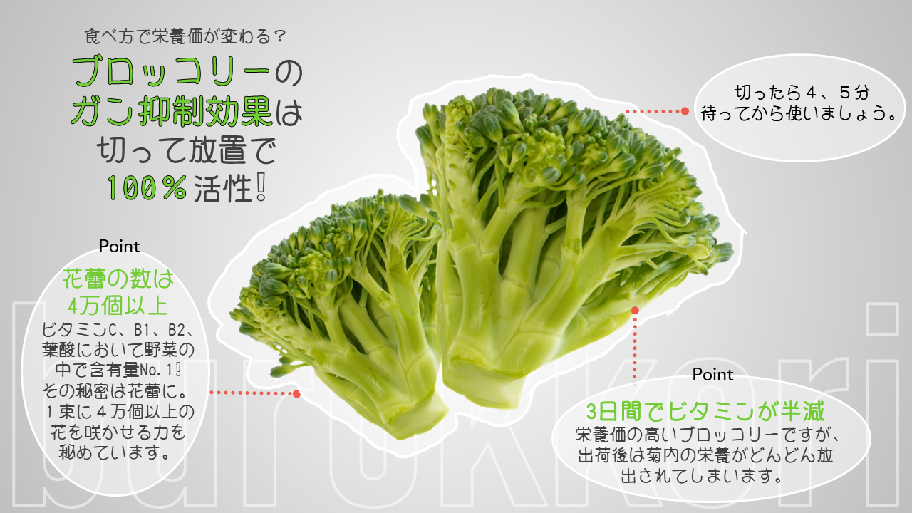 ブロッコリーの栄養について｜商用可フリー画像・背景透過