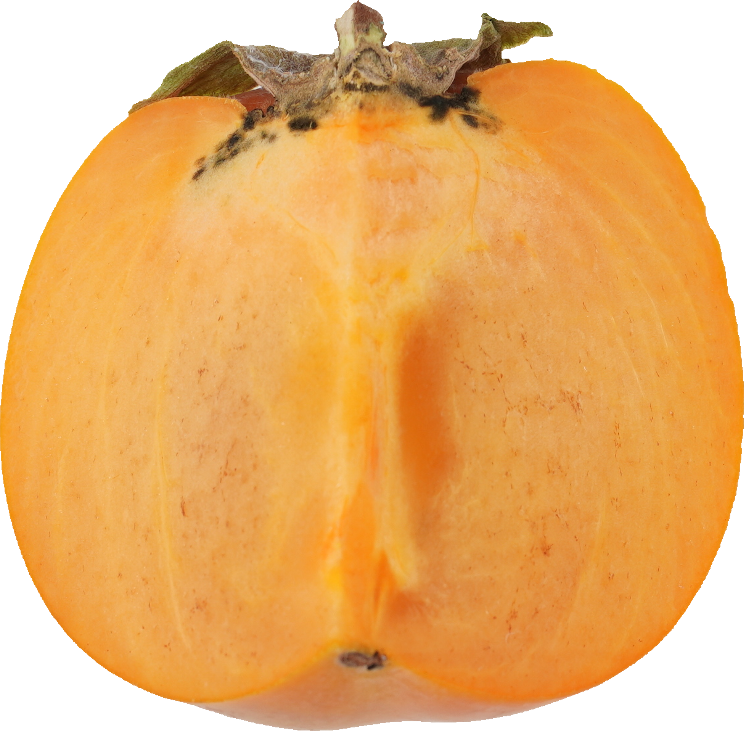 かき｜商用可フリー画像・背景透過