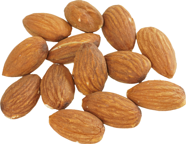アーモンド｜商用可フリー画像・背景透過