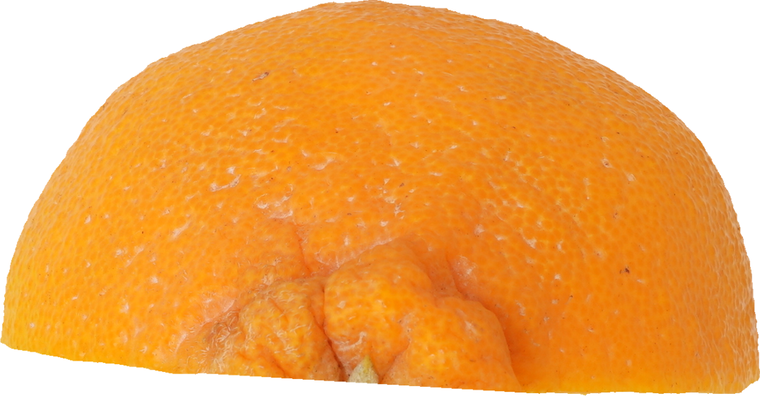 しらぬひ【デコポン】｜商用可フリー画像・背景透過