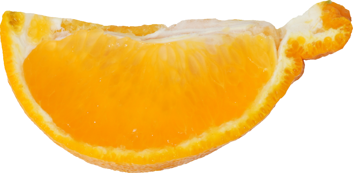 しらぬひ【デコポン】｜商用可フリー画像・背景透過