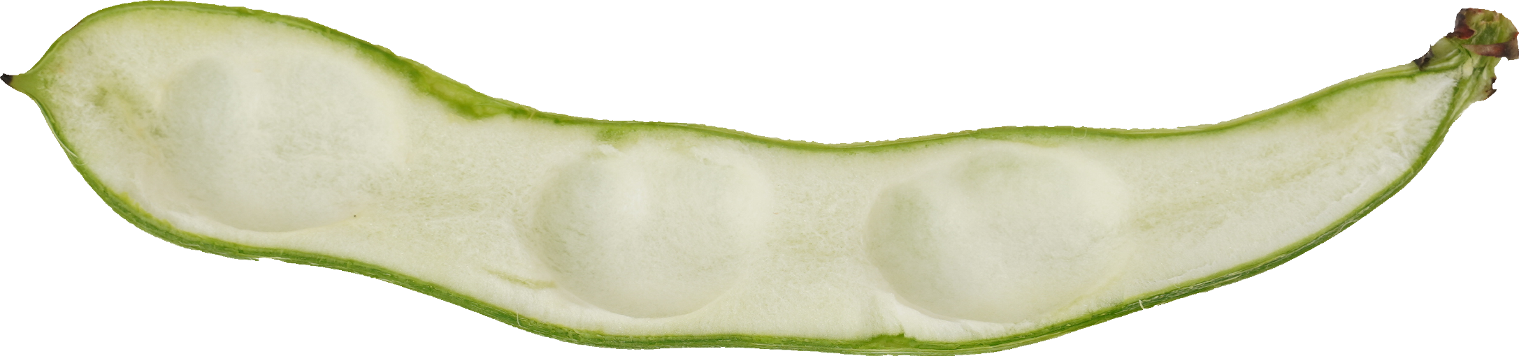 そらまめ｜商用可フリー画像・背景透過