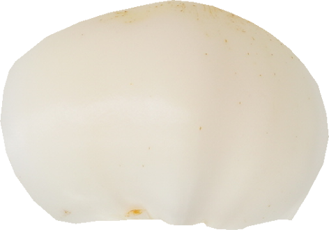 ゆりね｜商用可フリー画像・背景透過