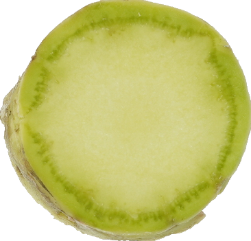 わさび｜商用可フリー画像・背景透過