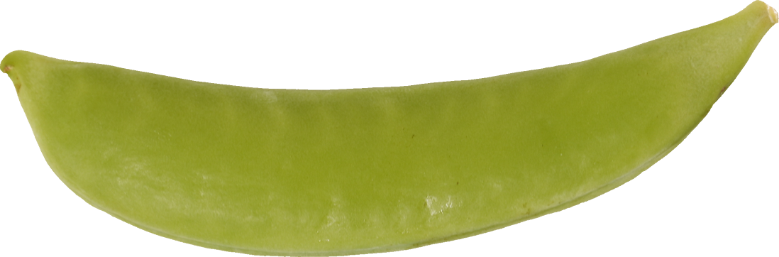 スナップえんどう｜商用可フリー画像・背景透過