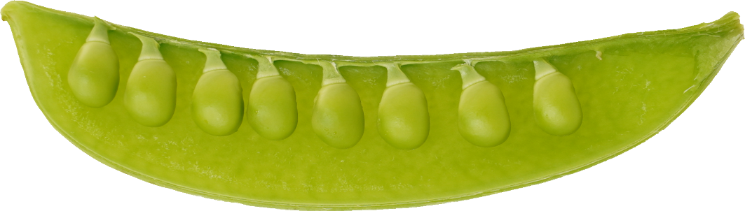 スナップえんどう｜商用可フリー画像・背景透過