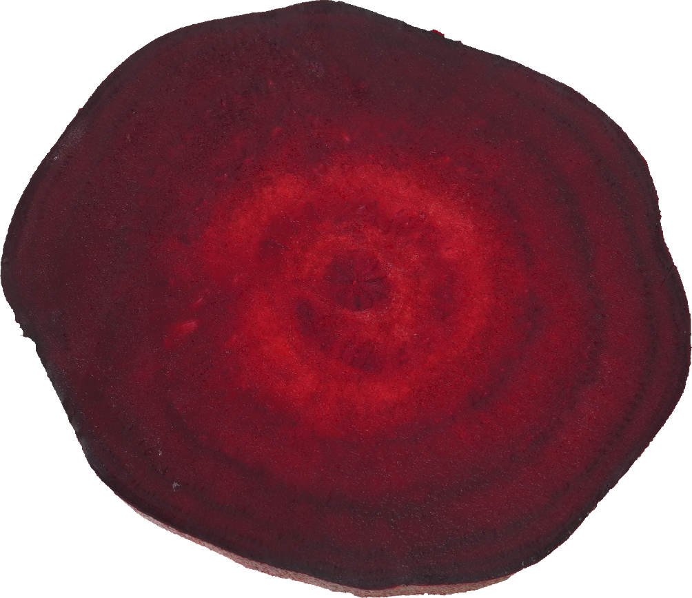 ビーツ（ゆで）｜商用可フリー画像・背景透過