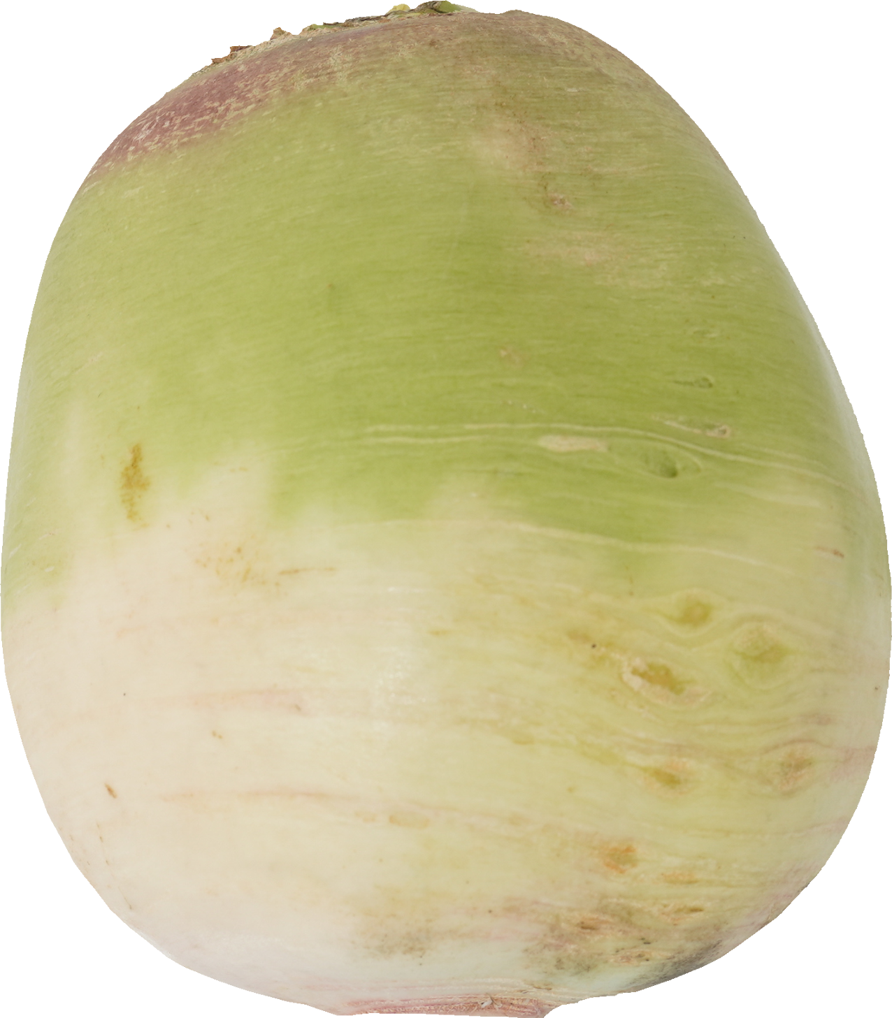 だいこん（紅芯大根）｜商用可フリー画像・背景透過