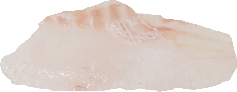 かれい｜商用可フリー画像・背景透過